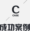成功案例